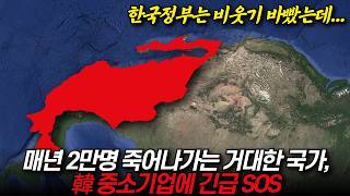 매년 2만명 죽어나가는 거대한 나라, 한국 중소기업에 긴급 SOS "한국정부는 비웃기 바빴는데..." / 디씨멘터리