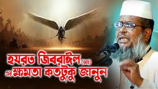 হযরত জিবরাঈল (আঃ) এর ক্ষমতায় কতটুকু জানুন। তোফাজ্জল হোসেন ভৈরবী।tofazzal hossain bhairovi bangla waz