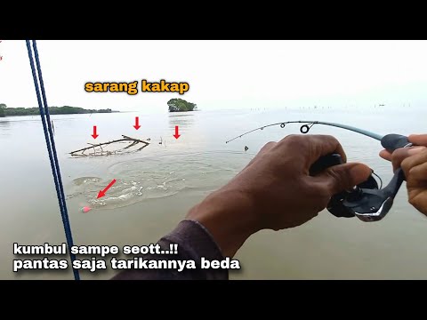 Langsung dibetot Kakap..!! Mancing di sini jangan pake kail kecil Bro