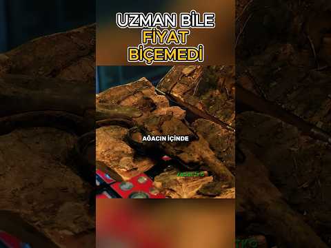 Uzman Bile Fiyat Biçemedi, Ağacın İçinde Kalan Tabanca!