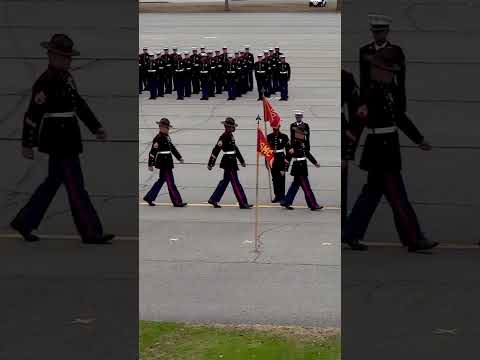 USMC GRADUATION #usmc #marinescorps #bootcamp #semperfi #usmarine