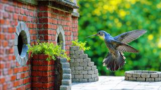 I Built an Airbnb for Birds (with reactions)