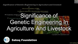 Significance of Genetic Engineering In Agriculture And Livestock