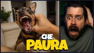 MI SONO SPAVENTATO - Try Not To Laugh Challenge EP. 132