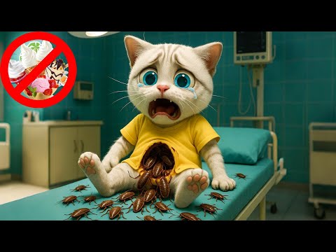 Oh No! Kitten Gets Attacked by Parasites After Eating Street Ice Cream! 😱🍦