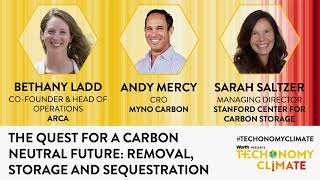 The Quest for a Carbon Neutral Future: Removal, Storage and Sequestration with Bethany Ladd, Andy Mercy, and Sarah Saltzer