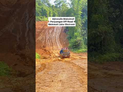 Perjuangan Off-road Melewati Jalur Ekstrem!