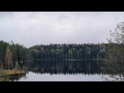 Вид за окном 10 октября 2023г.                  Карелия.