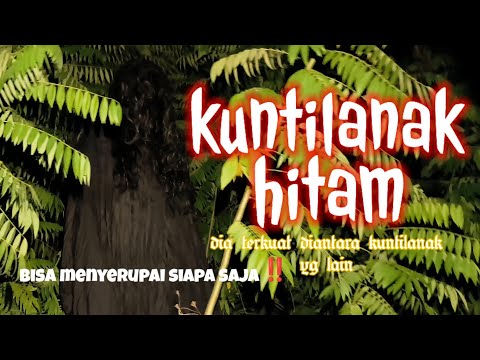 kuntilanak hitam ‼️ kekuatan ilmu hitam   #expedisialamghaib