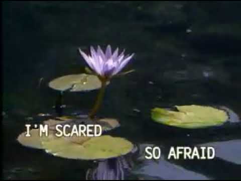 7. Celine Dion duet with Barbra Streisand – Tell Him [Canary]