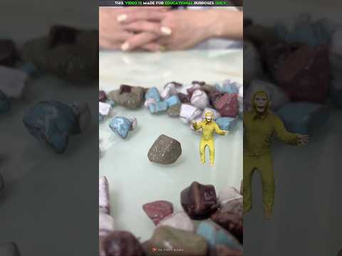 Monkey Food Chocolate 🫘🐒| New Viral Gadgets, Smart Appliances, Kitchen Utensils/ Home Inventions