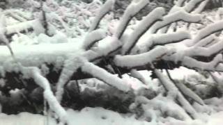 Heavy snow continues