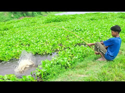 Fishing Video || The village boys were able to catch a lot of fish from the canal in a short time