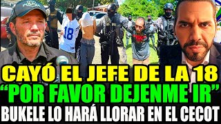 DIOS MÍO CAYÓ EL JEFE MAYOR DE LA MARA MS-13😱 NO VOLVERÁ A VER  LA LUZ JAMÁS