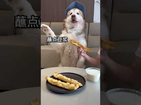How sensible can a dog be? I will always give it to my sister for the first bite. Dou will show of