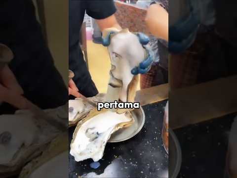 Kerang Jumbo XL