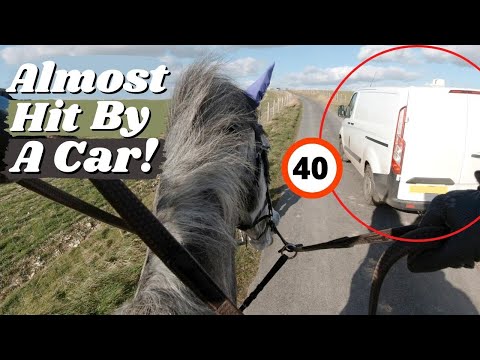 Horse Almost Hit by a Car on a Bridlepath! This Esme