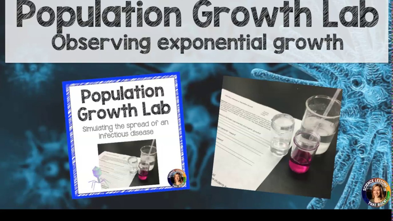 Virtual Population Lab Activity Answer Key: Unraveling the Secrets of Population Dynamics