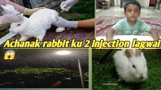 |Aachanak rabbit ki hoi tabiyat kharab|Indian mom busy routine #vlogs #food #minivlog 