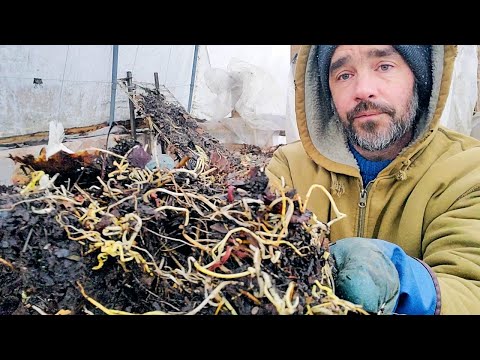 Chicken Compost System - Winter Testing