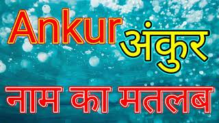 Ankur naam ka matlab / Ankur naam ka matlab kya hai / Ankur naam ka arth / Ankur ka arth kya hai
