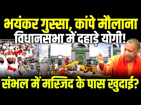 Cm Yogi भयंकर गुस्सा कांपे मौलाना Sambhal में मस्जिद के पास खुदाई? #yogiadityanath #sambhal