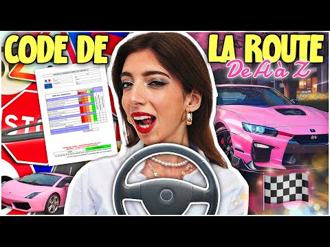 JE PASSE LE CODE DE LA ROUTE ! 🏁 *le film*