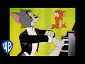 Understanding Video Structure and Concepts