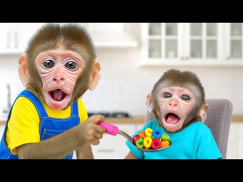 KIKI Monkey CHALLENGE Take Care Of Cute Monkey 24 HOURS and Bathing in Bathtub | KUDO ANIMAL KIKI
