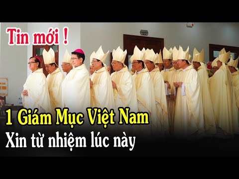 🔴Tin Mới! 1 Giám Mục VN Xin Từ Nhiệm Lúc Này - Xin Cầu Nguyễn Đức Cha Stephano Tri Bửu Thiên