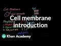 Exploring Cell Membrane Structure and Function
