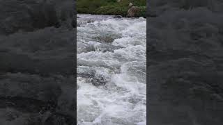 Mountain rivers. Eternal Love - Water and Stone. #Shorts