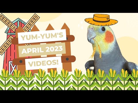 YumYum’s April Videos