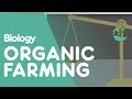 Organic Farming: Pros and Cons