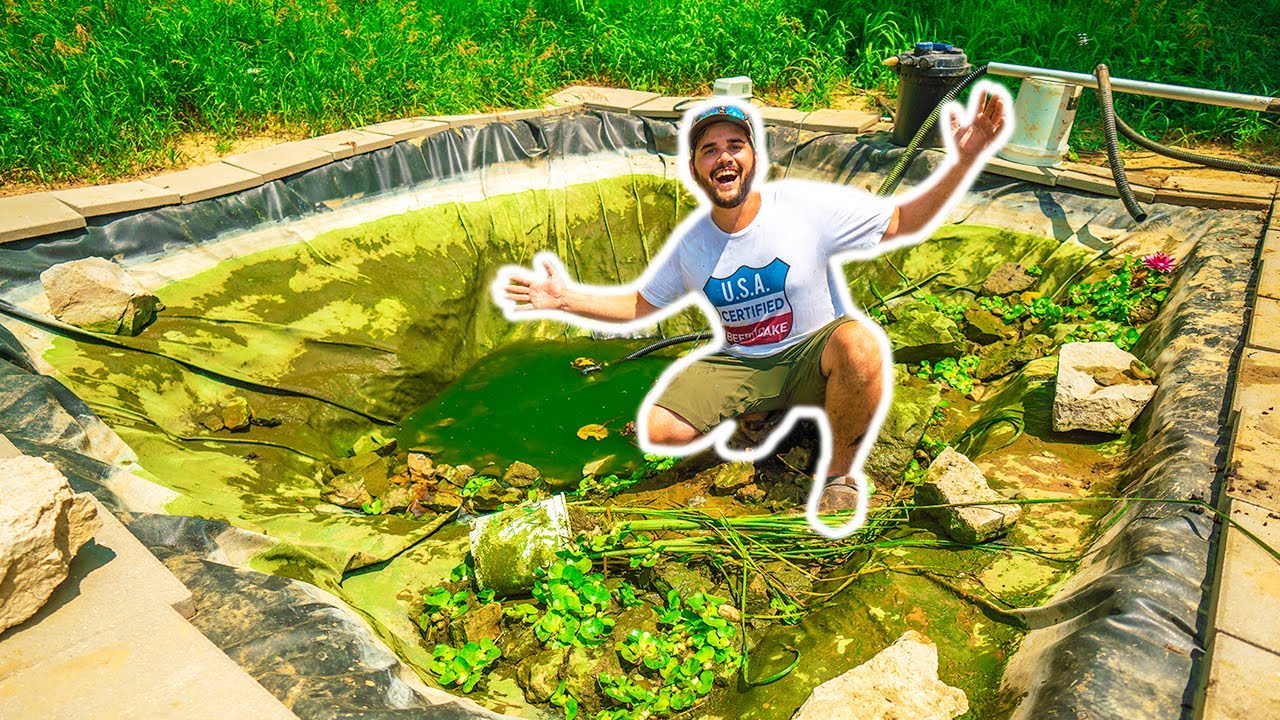 I Had to DRAIN My BACKYARD MINI POND!