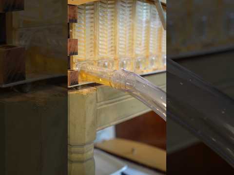Finally harvesting honey from the Flow Hive! Pt.3 #beekeeping #bees #flowhive #honey #honeyharvest