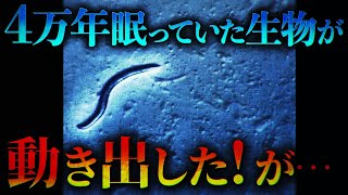 4万6000年眠っていた生物が復活して動き出した！