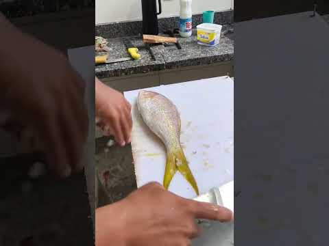 Guaíuba #viralvideo #fyp #peixe #moquecadepeixe