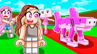 Nova Atualização de doces Roube um Brainrot no Roblox @familiamaffi