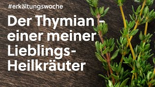 Thymian - einer meiner  Lieblings-Heilkräuter #medizin #gesundheit #home #remedy