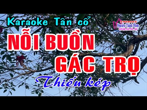 Karaoke tân cổ NỖI BUỒN GÁC TRỌ – THIẾU KÉP [Hát cùng Lệ Thu]