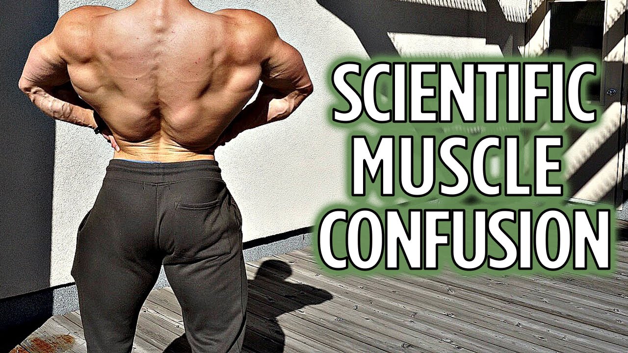 Using Muscle Confusion Scientifically What's Happening in Florida?