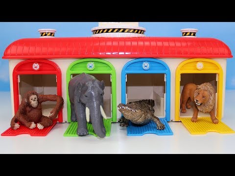 Learn ZOO Wild Animals & Colors with Tayo Little Bus & Animal Planet Toys
