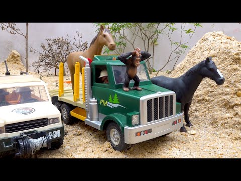 histórias sobre dinossauros de brinquedo e caminhões de transporte de animais | bibo e brinquedos