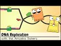 DNA Replication Concepts and Mechanisms