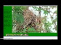 Symbiotic Relationships in Ecology