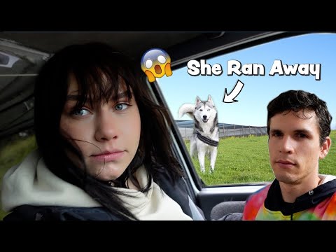 Our Husky Went Missing! (Van Life Vlog)