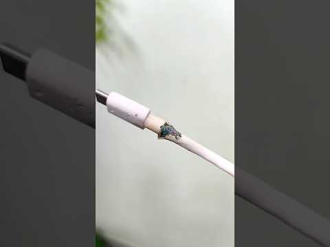 Charging Cable Repair #Shorts #Beautytips #Lifestyle #Malayalam #Viral #Short #Trending #AswinC #Diy