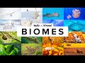 Exploring 11 Biomes and Their Unique Animals