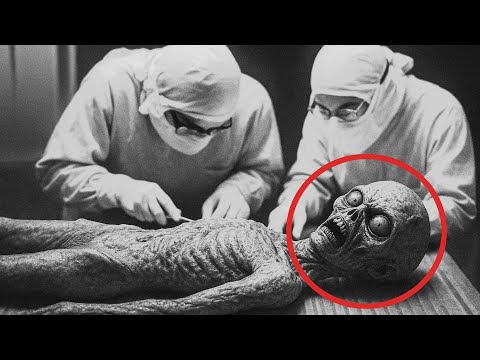 ‏ما الذي يوجد داخل المنطقة 51؟